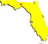 Florida Collection Agencies